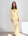 Auteur Stevie Dress