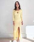 Auteur Stevie Dress