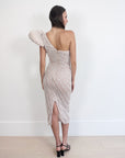Rachel Gilbert Phoebe One-Shoulder Dress