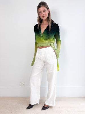 Descriptive image text